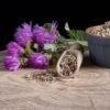 Milk Thistle Health Benefits, Uses and Side Effects