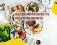 Macronutrients vs micronutrients essentials of a balanced diet