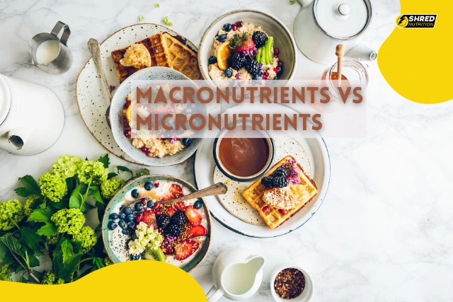 Macronutrients vs micronutrients essentials of a balanced diet