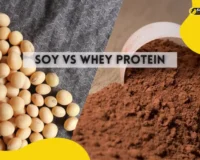 Soy vs Whey Protein