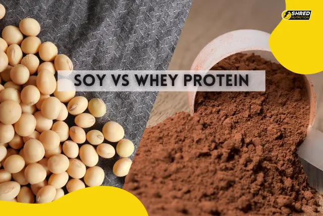 Soy vs Whey Protein