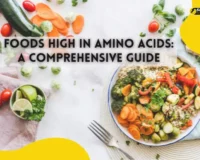 Foods High in Amino Acids A Comprehensive Guide