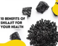 10 Benefits of Shilajit for Your Health