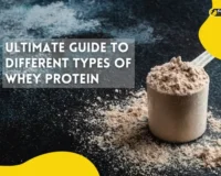 Ultimate Guide to Different Types of Whey Protein