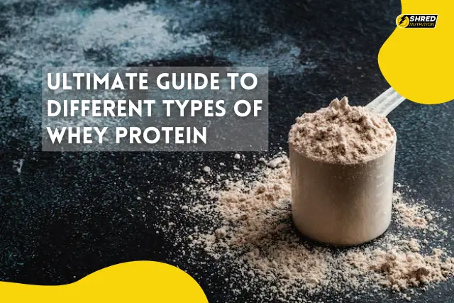 Ultimate Guide to Different Types of Whey Protein