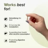 GNC Herbal Plus Milk Thistle - Image 3