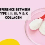 Types of Collagen Explained Difference Between Type I, II, III, V & X