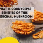 What is Cordyceps Benefits of This Medicinal Mushroom