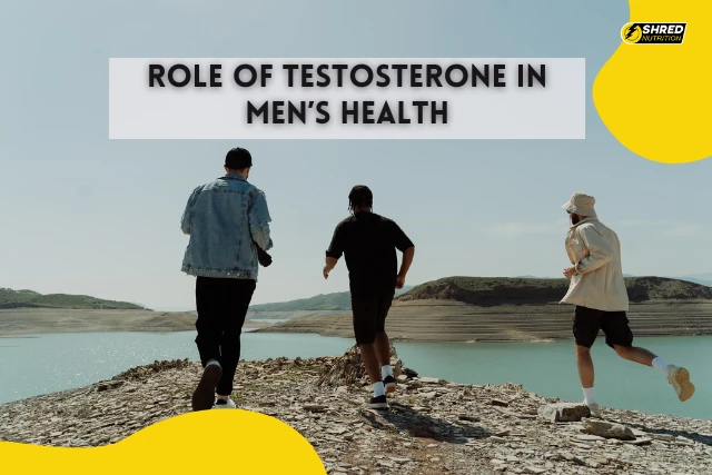 Understanding the Role of Testosterone in Men’s Health
